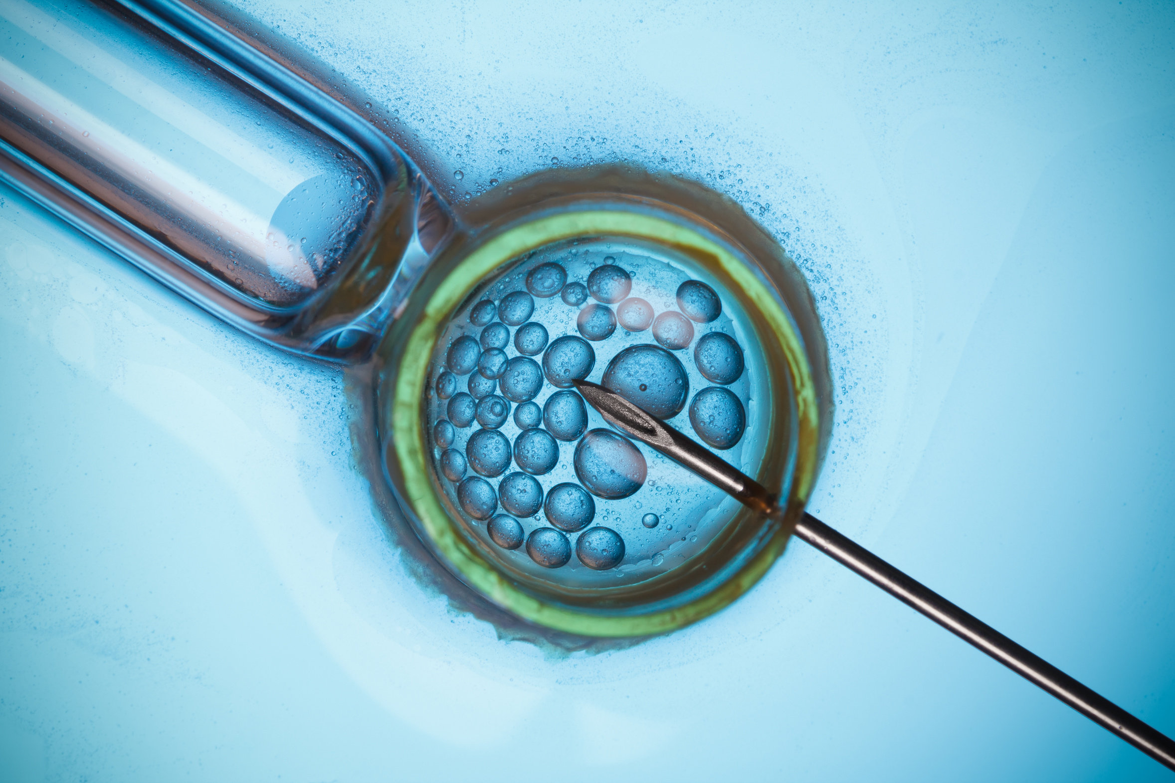Blog post topfertilityclinicsnearme